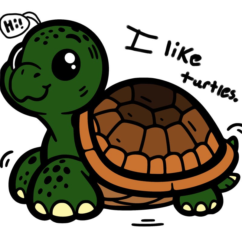 turtle