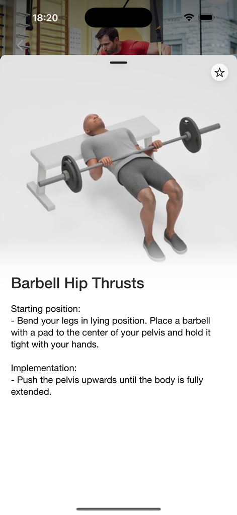 ACTIV FITNESS - Barbell hip thrust exercise instructions and 3D demonstration in the ACTIV FITNESS app