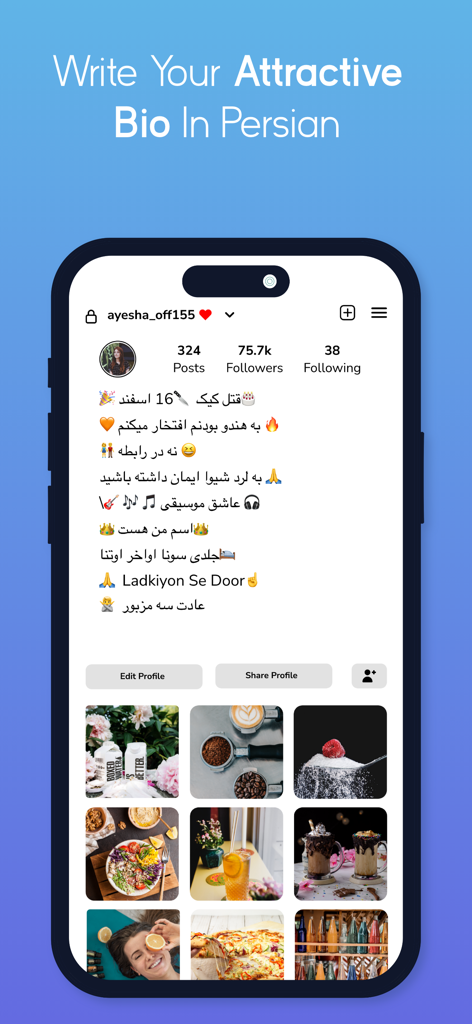 Persian Keyboard - Farsi Keys - Instagram profile bio written in Persian script with emojis