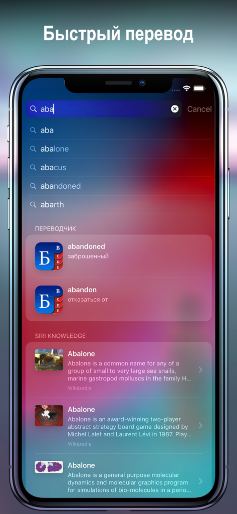 Instant English to Russian word translation results shown on an iPhone search screen