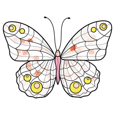 animals_18