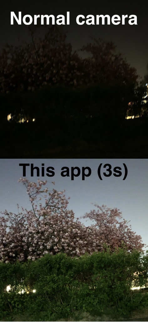 Easy Long Exposure Camera - 通常のカメラの暗い写真と、夜の木の長時間露光写真の明るい写真を比較した画像