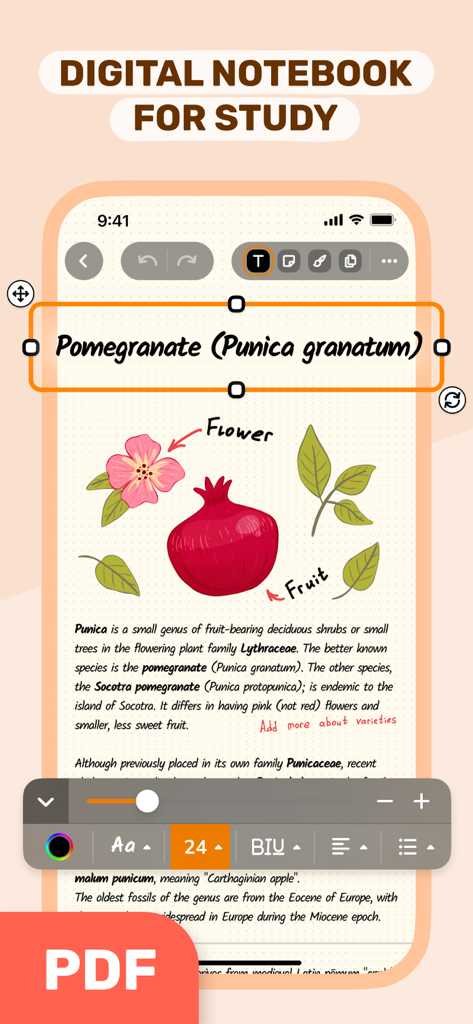 デジタルノートアプリが、ザクロのイラストとテキスト編集ツールを備えた学習ページを表示しています