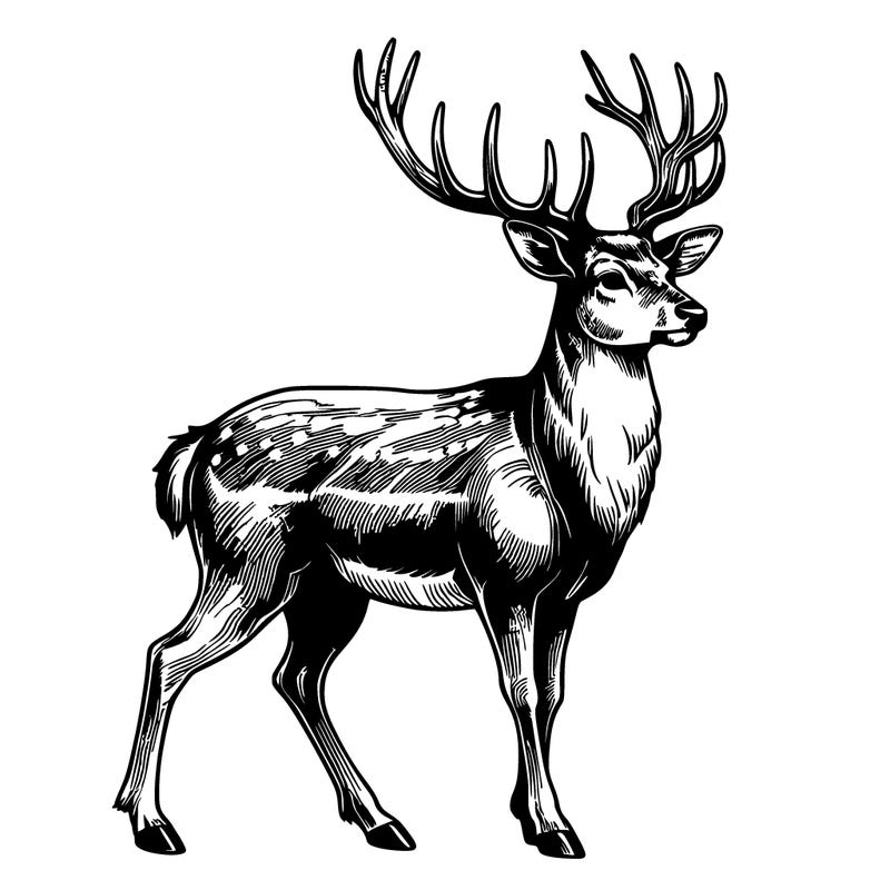 realistic deer