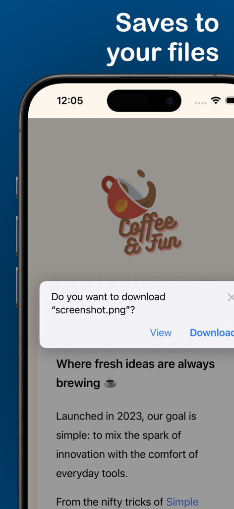 Simple Screenshot Pro - Tela do iPhone exibindo uma confirmação de download para uma captura de tela da web a ser salva em arquivos locais