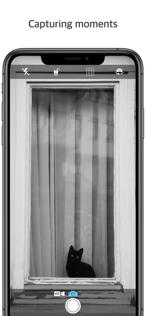 Q Camera app interface showing a silent photo capture of a cat through a window