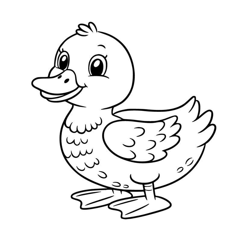 duck