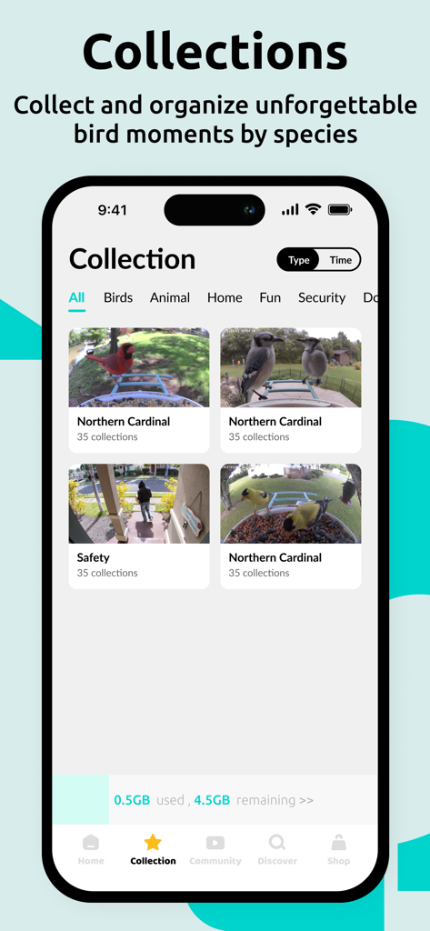 Birdfy - Birdfy App-Oberfläche, die erfasste Vogelfotos zeigt, organisiert in Artenkollektionen wie Northern Cardinal