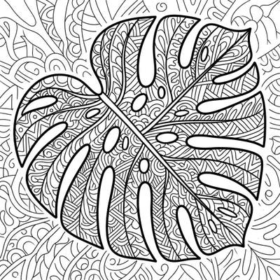 Discover the soothing beauty of this Monstera Leaf Zentangle coloring page, combining lush tropical nature with intricate, meditative patterns. Perfect for unwinding and exploring your creativity with every stroke.