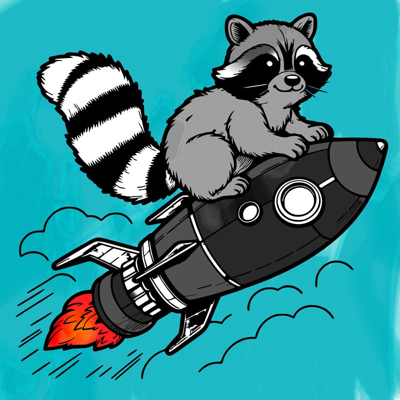 realistic raccoon flying on top rocket ship