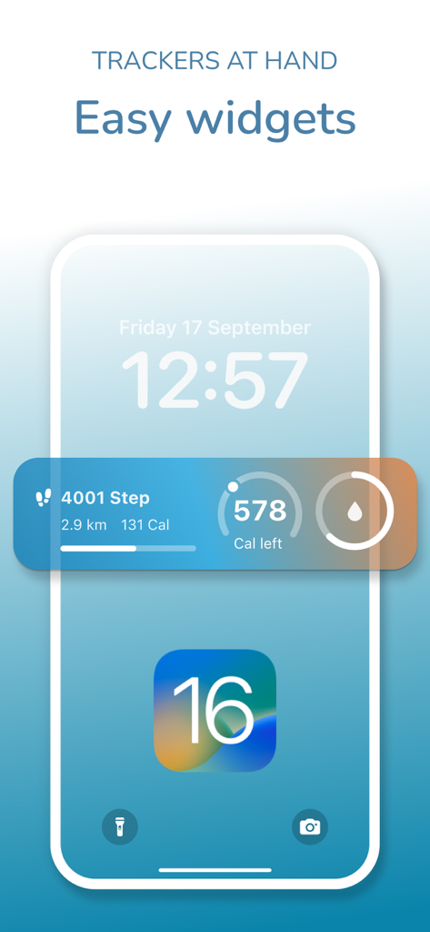 DietSensor Keto iOS lock screen widget displaying step count calorie goals and hydration tracking