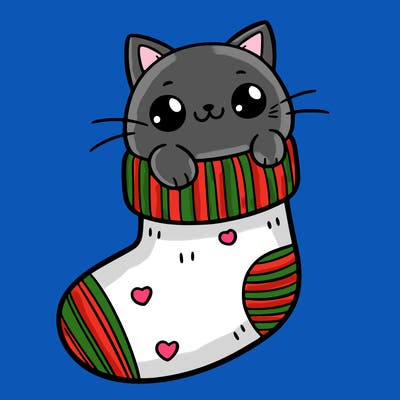 cute cat in a sock