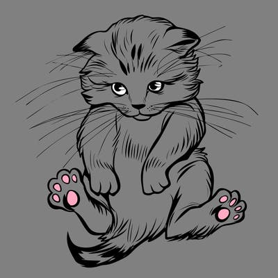animals_20