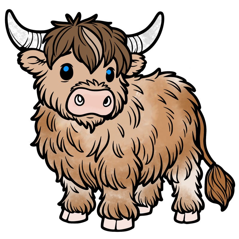 highland cow