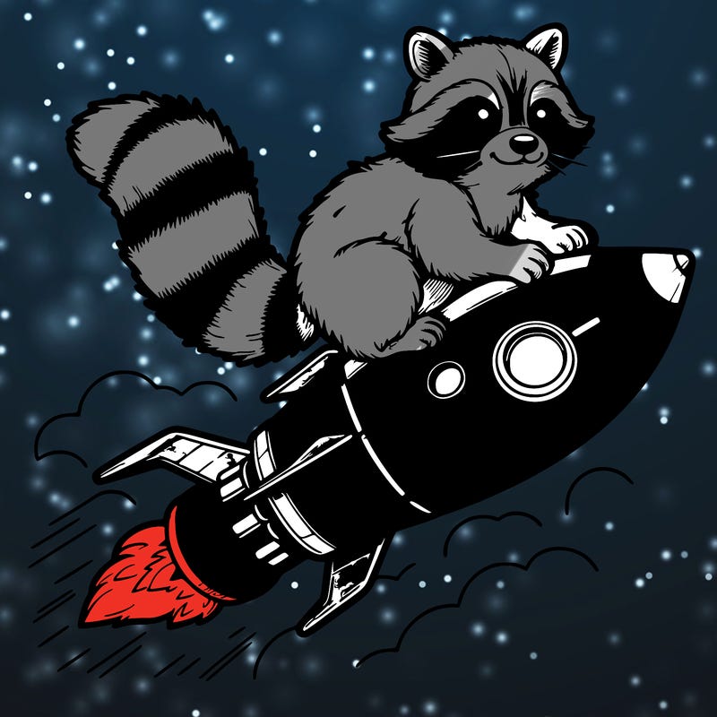 realistic raccoon flying on top rocket ship
