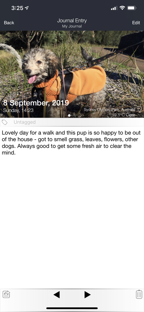 Capture 365 Journal - Mobile view of Capture 365 Journal showing a photo entry with automated weather and location tagging