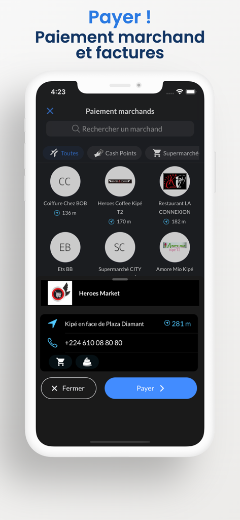 PayCard app screen showing merchant payment options and local businesses in Guinea