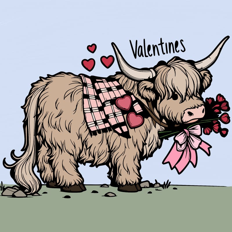 valentines highland cow realistic