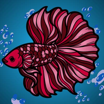 betta fish