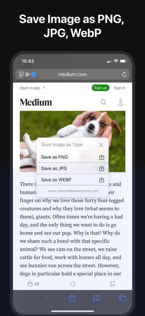 Save Image as Type - Save Image as Type Safari extension on iPhone showing options to save a web image as PNG JPG or WebP