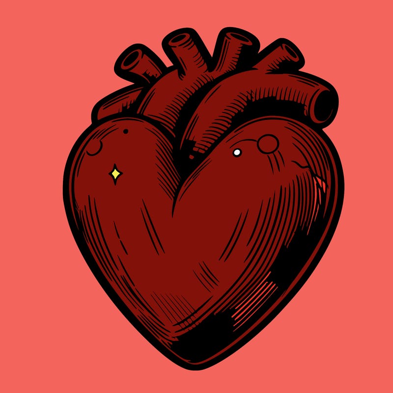 realistic heart