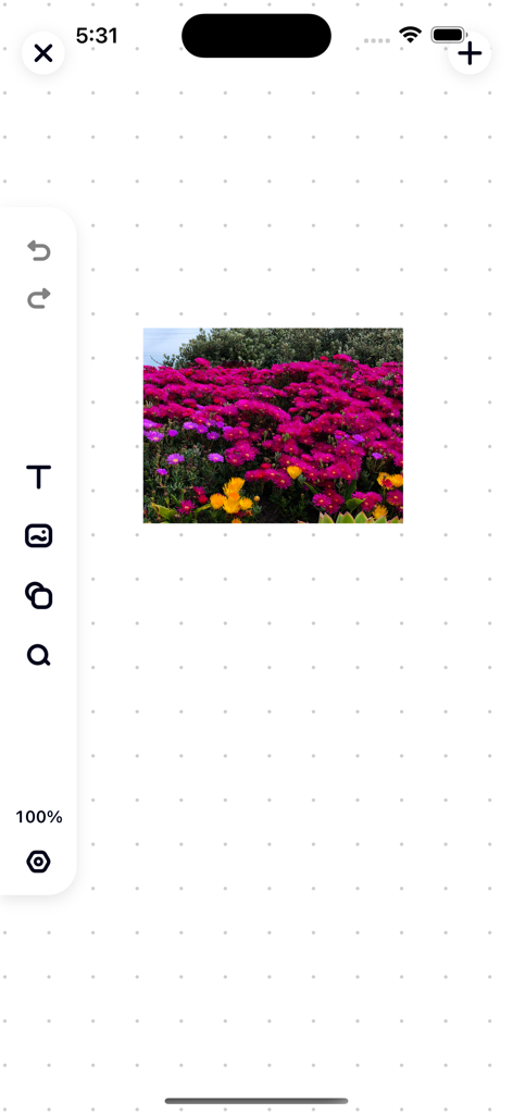 XNote-infinite boards & notes - XNoteアプリのインターフェース。無限の点線ボードにピンクの花の画像とサイドツールバーが挿入されている様子を表示。