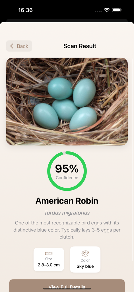 Bird Egg Collection Ai - 95パーセントの信頼度でアメリカコマドリの卵の鳥の卵識別結果。