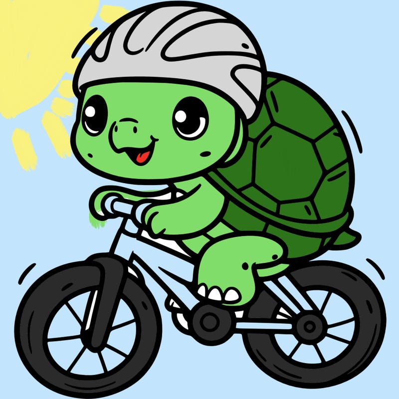 turtle on a bike
