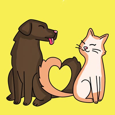 animals_22