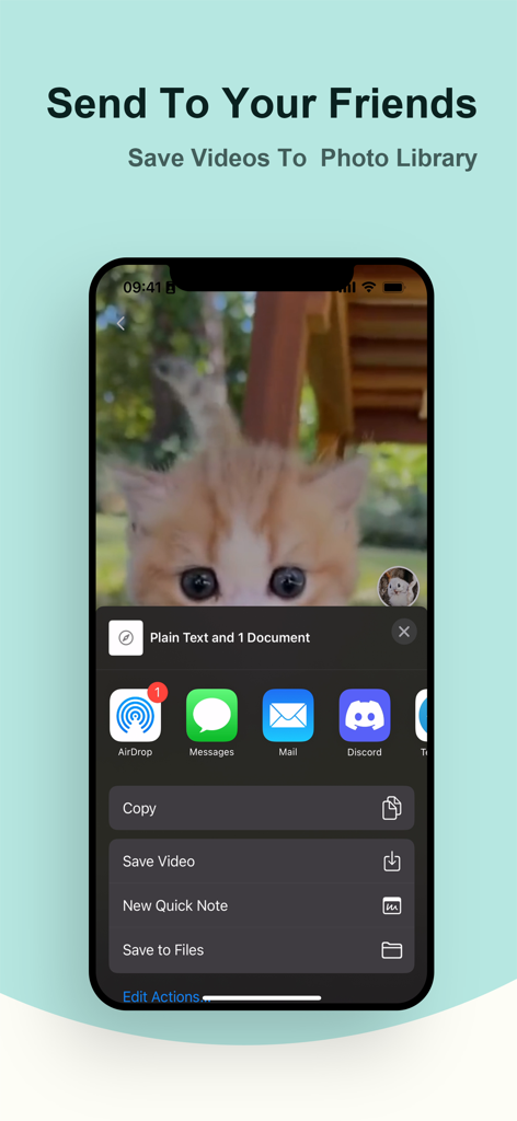 Interface of Tikcd app showing options to save and share videos through the iOS share sheet.