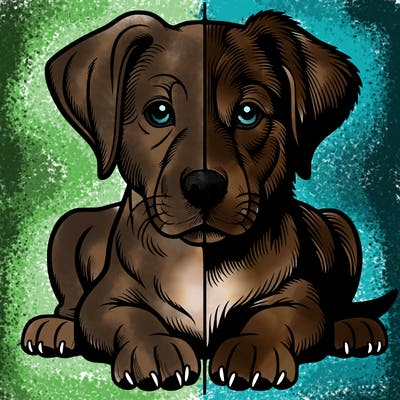 realistic dog split picture