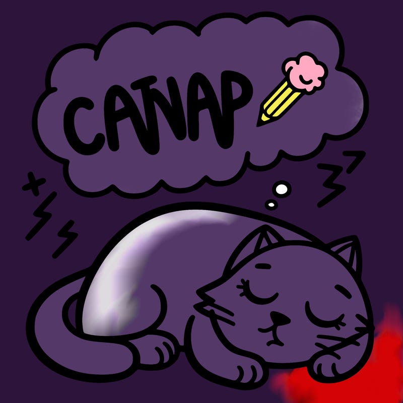 catnap