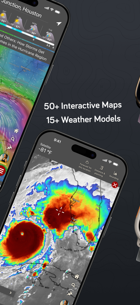 Windy.com app interface showing interactive satellite maps and weather forecasting models
