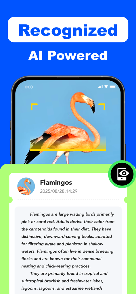 Tiny QR Barcode Scanner Reader - Tiny QR Barcode app demonstrating AI nature recognition identifying a flamingo with detailed species information.