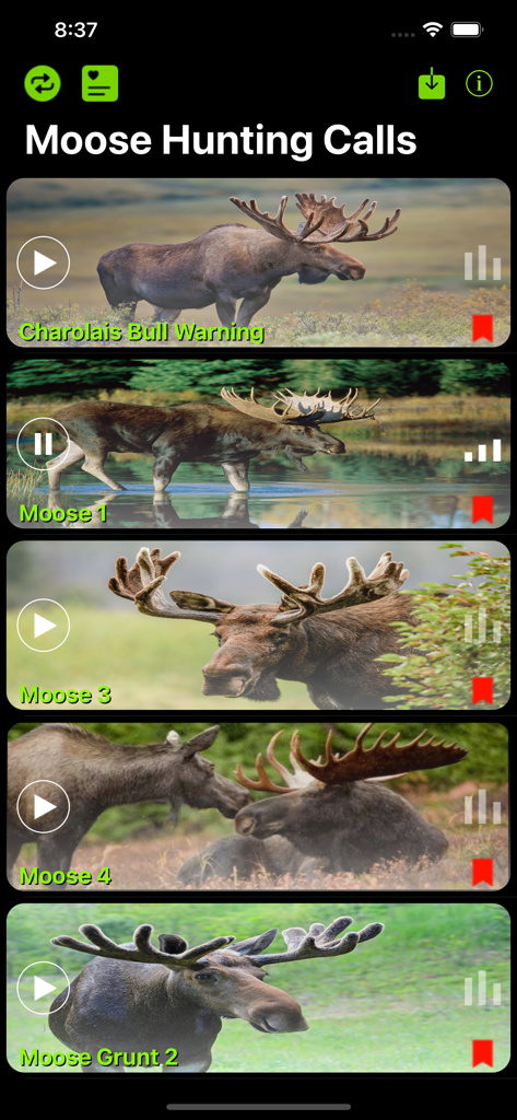 Moose Hunting Calls App - Tela principal do aplicativo Moose Hunting Calls mostrando uma lista de sons de alce disponíveis com fotos