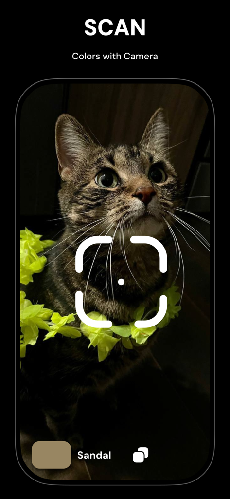 Hex Color Picker: Color code - Hex Color Picker app using camera to scan and identify colors in real time