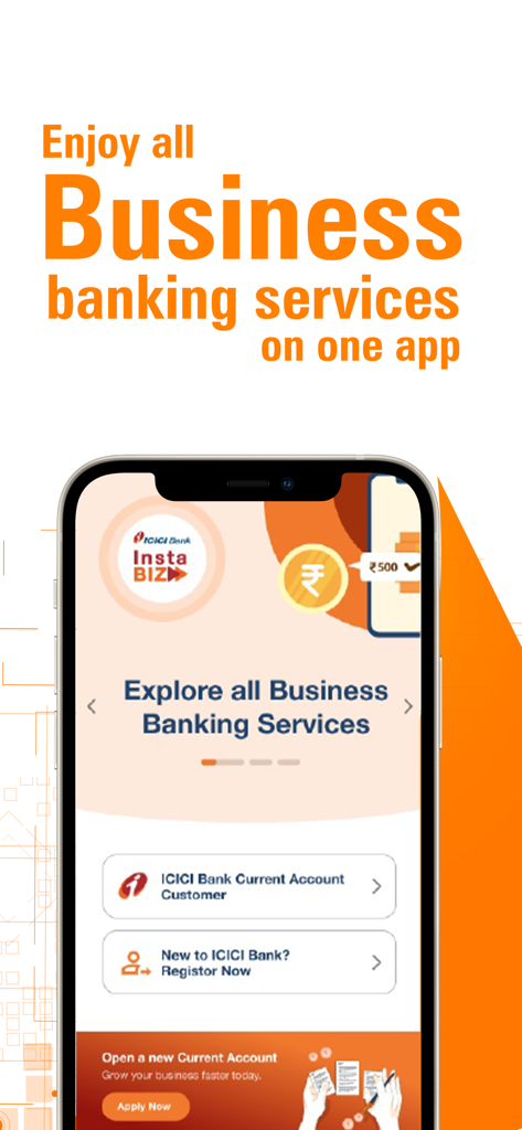 InstaBIZ app home screen showing business banking services on a smartphone