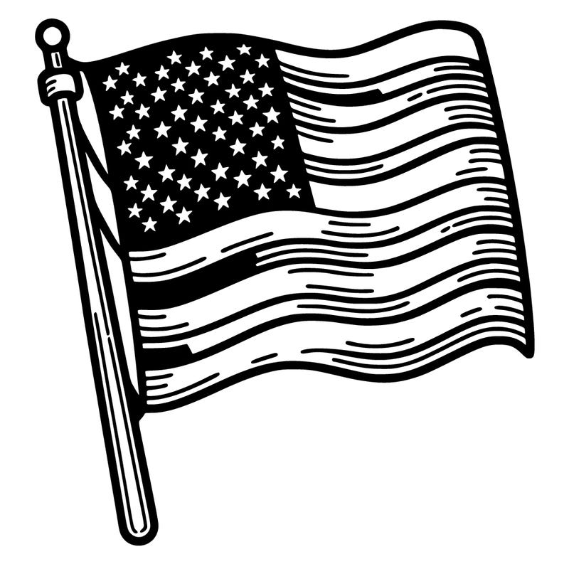 the united states  flag