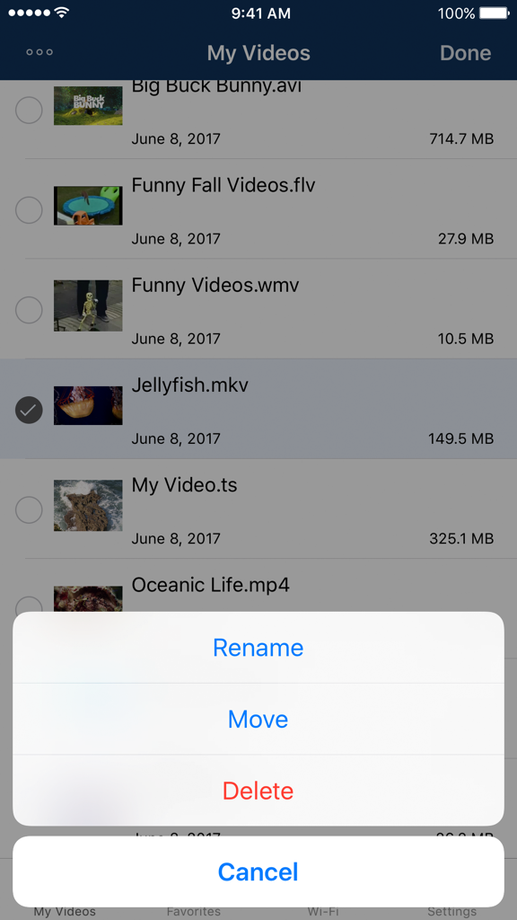 AVPlayer for iPhone - AVPlayer for iPhone video file list with options to rename move and delete videos