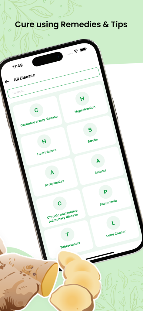 Herbal Natural Care - Ayurveda - ハーブと自然療法のための病気のリストを表示するモバイルアプリのインターフェース。