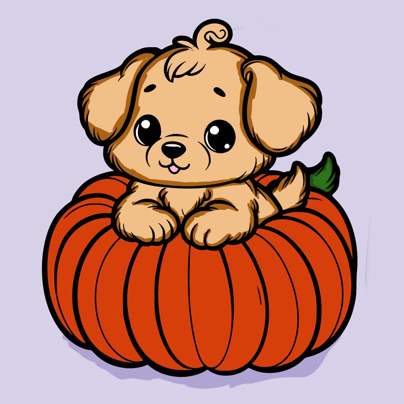 cute little puppy in a pumpkin