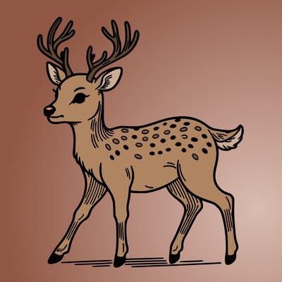 deer