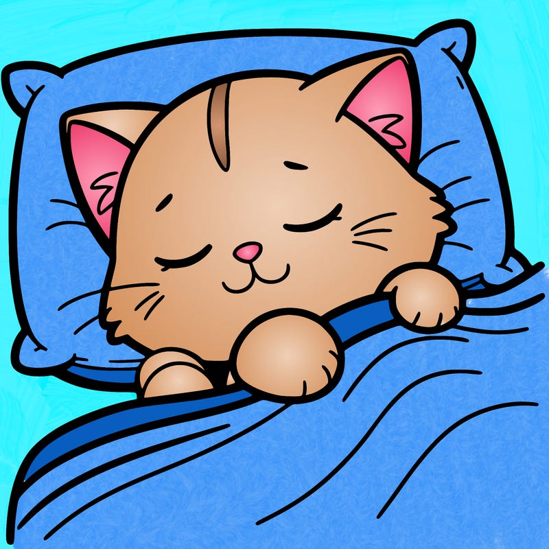 sleepy%20cat