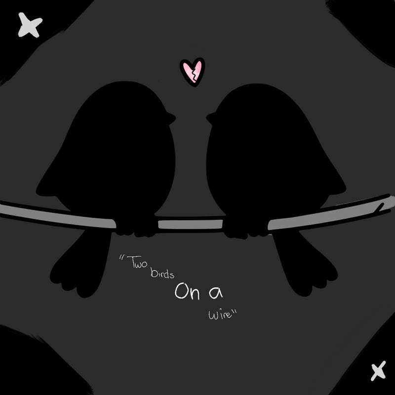 two birds on a wire