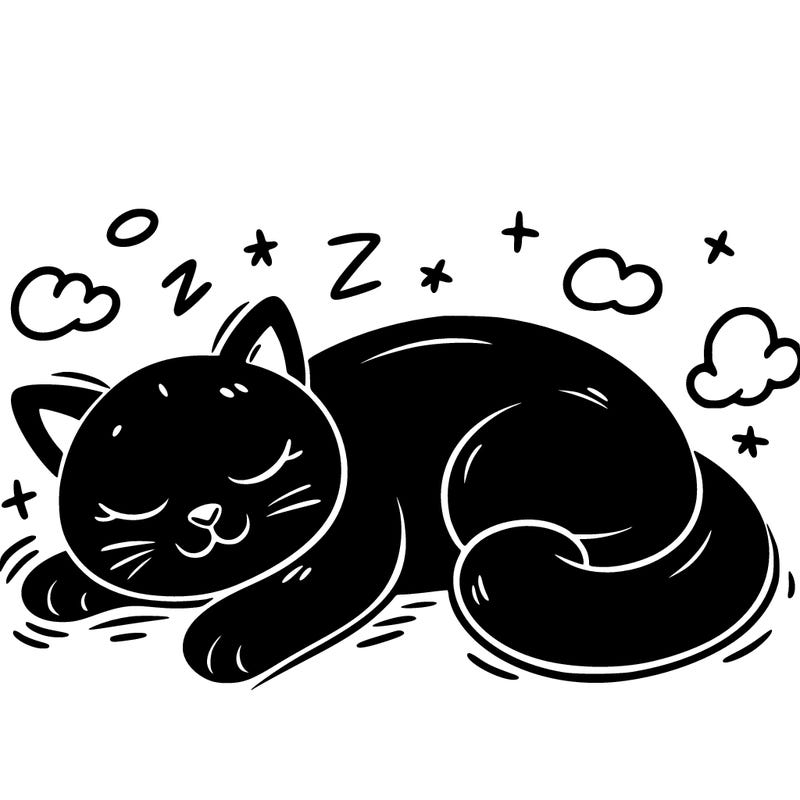 black cat sleeping