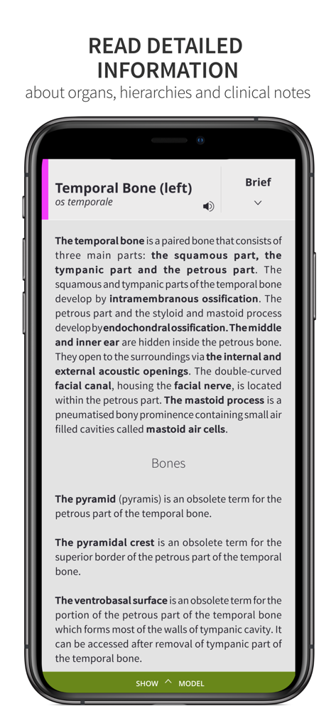 Anatomyka Skeleton - Descrizione anatomica dettagliata e note cliniche per l'osso temporale nell'app Anatomyka Skeleton