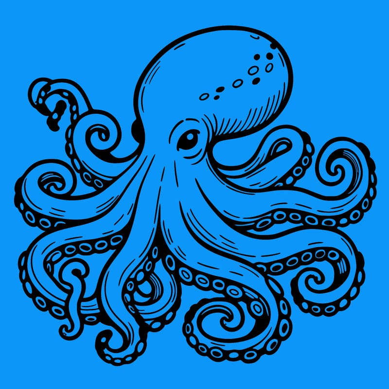 octopus