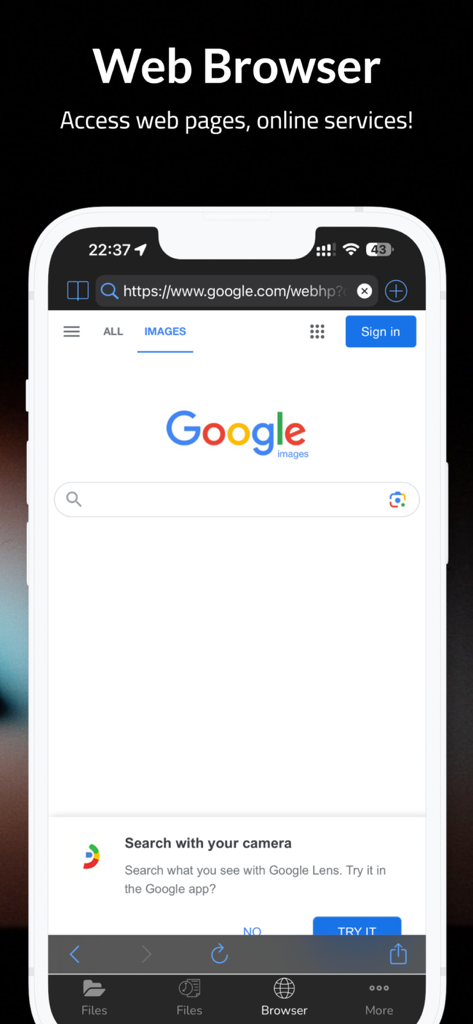 Built-in web browser interface within the File Manager app showing a search engine page