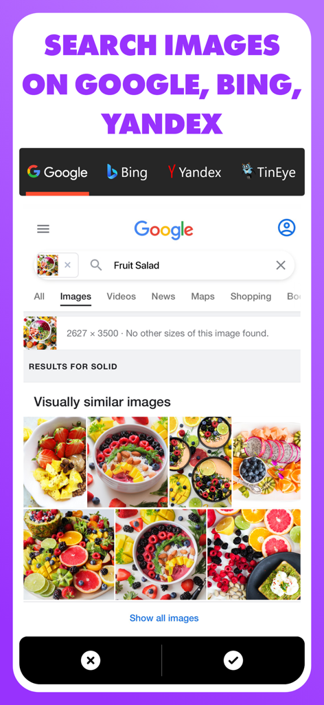 Googleでフルーツサラダの視覚的に類似した結果を表示するリバースイメージ検索アプリのスクリーンショット