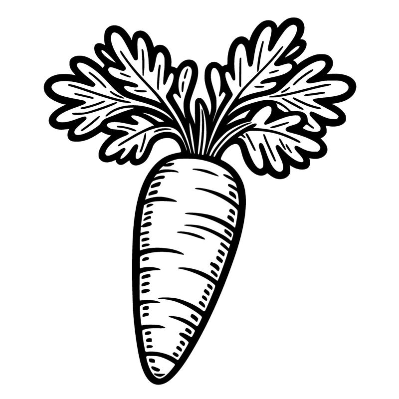 carrot